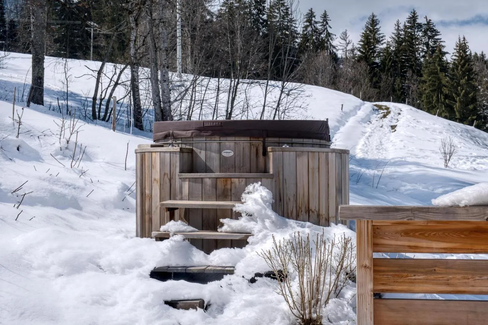Villa Chalet Monte Bianco I Luxe I Bain Nordique I Sauna Combloux